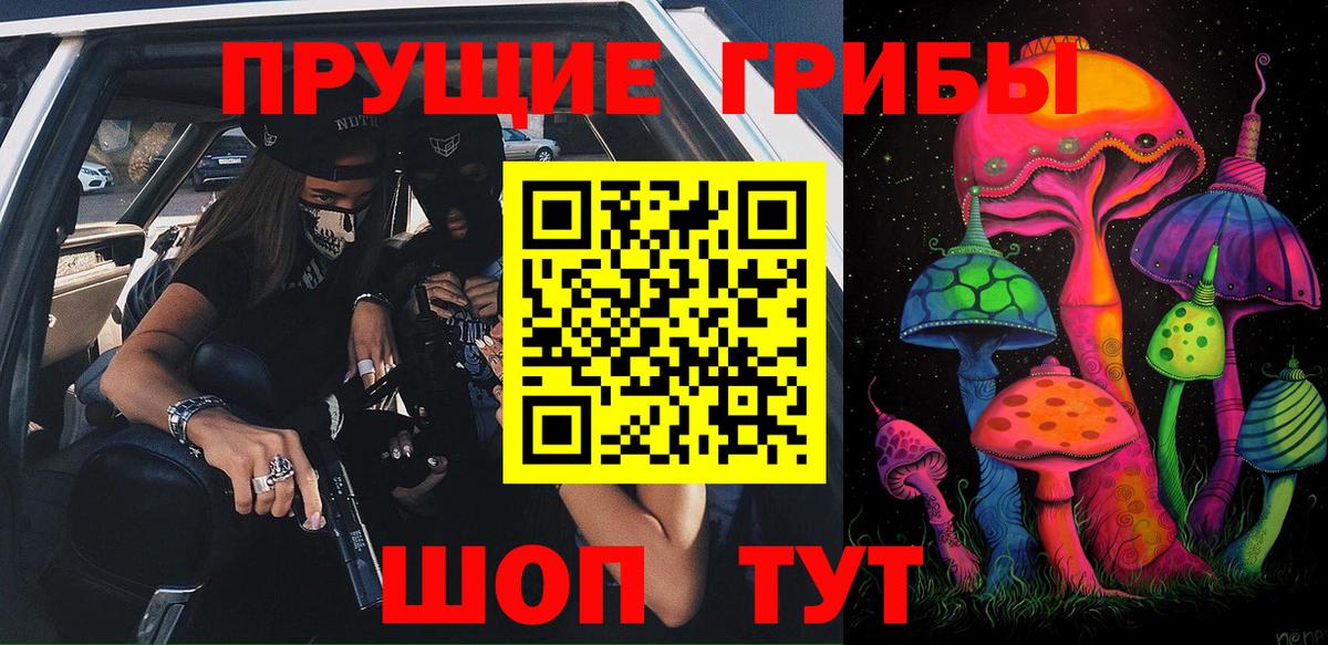 Псилоцибиновые грибы мицелий  где купить   Отрадный  Вход с VPN 